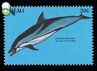 دلفین نواری