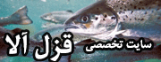 سایت تخصصی قزل آلا